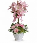 Teleflora's Blushing Lilies from Backstage Florist in Richardson, Texas